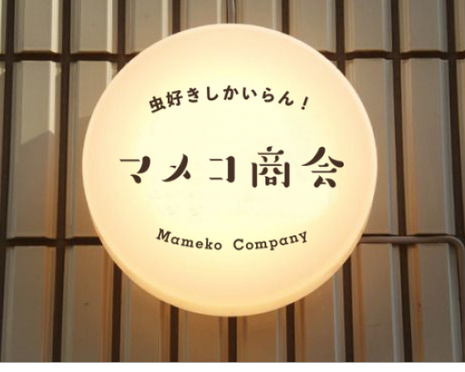 実績